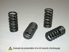 SP 1004305 Kit Clutch Springs