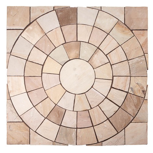 Fossil mint indian sandstone - fossil,