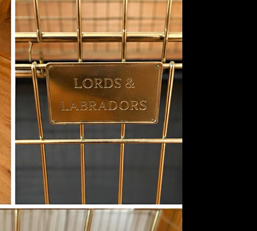 Lords labradors xl 42in - lords,