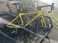 Carrera TDF.JR LTD road bike