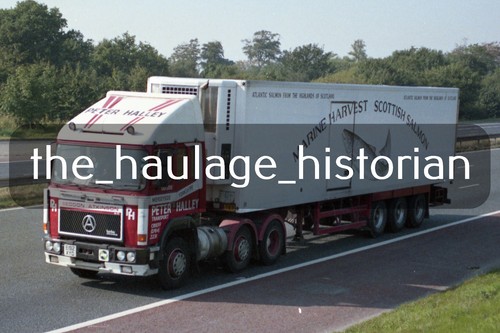 Thh truck photos seddon - photos,