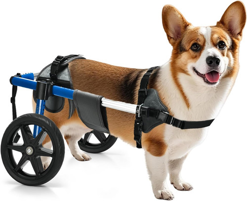 Dog wheelchair for back - back, legs