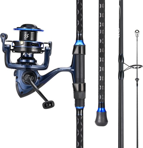 Surf fishing rod and - surf, reel