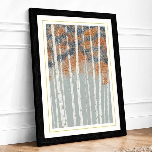 Birch forest canopy botanical - forest,
