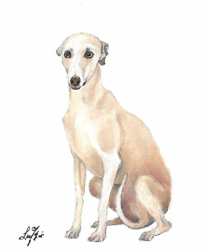 Original oil dog portrait - ✤,