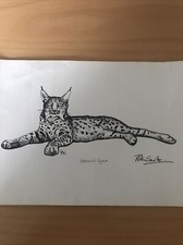 Sir Peter Scott ‘Spanish