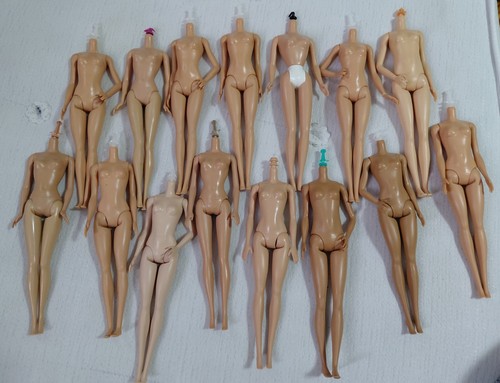 Barbie doll body bundle - 15,