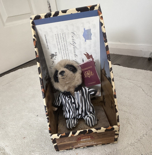 Compare the market safari - the, oleg
