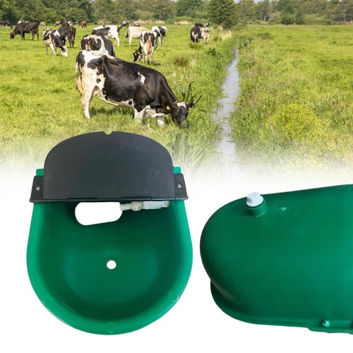 Automatic horse drinking water - automatic,