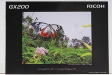 Ricoh GX200 Digital Camera Catalog Booklet Ships from Japan