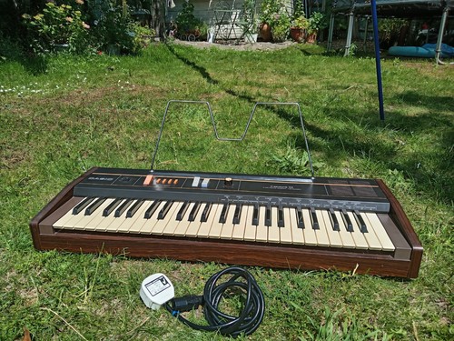 Vintage casio casiotone 101 - vintage,