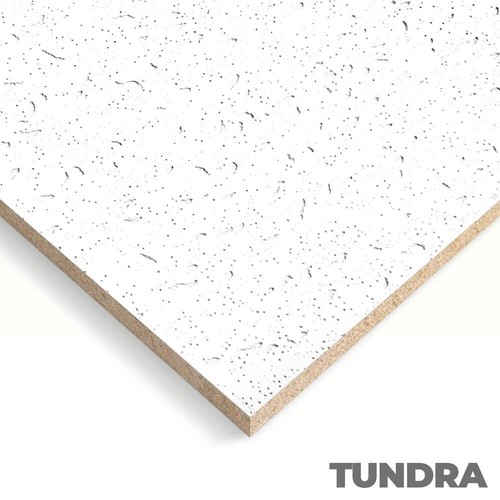 Suspended ceiling tiles tundra - suspended,