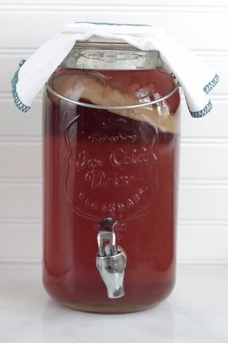 Organic mature scoby - mature,