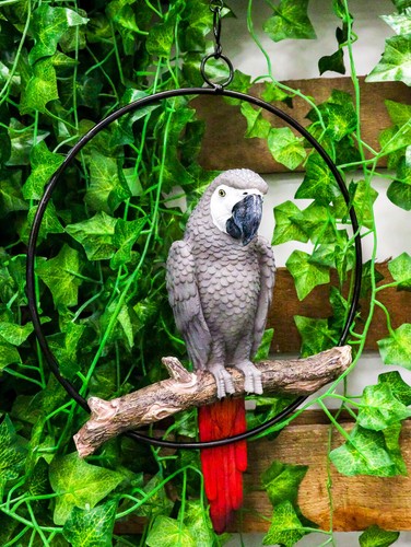 Hanging grey macaw parrot - grey,