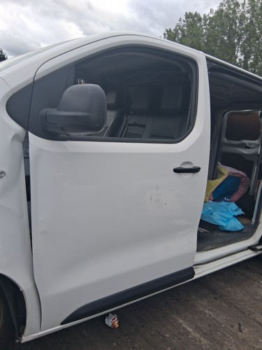 2019 citroen dispatch vivaro - 2019,