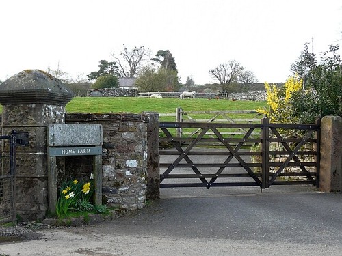 Photo 6x4 gates home farm - gates, at