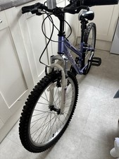 New Lowered price! Mountain