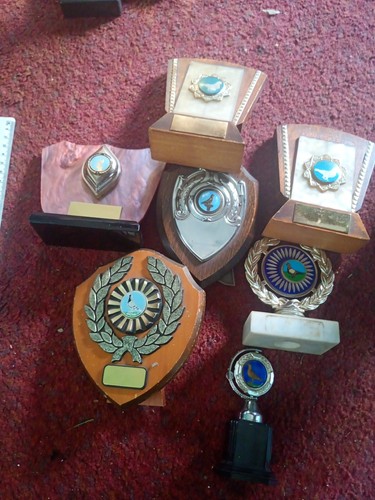 Pigeon racing trophies - trophies, no