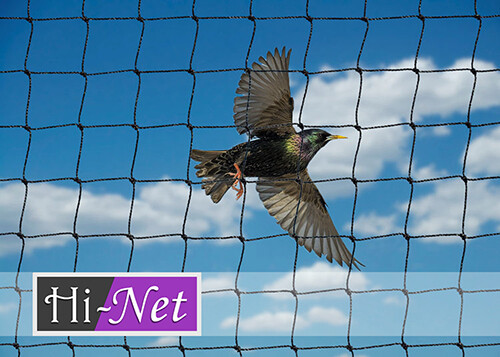 Garden netting 10m - garden, x