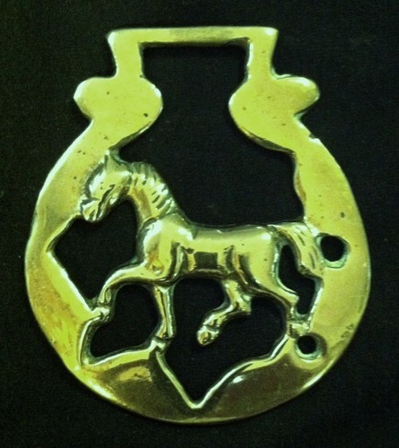 Wonderful trotting horse - trotting, in