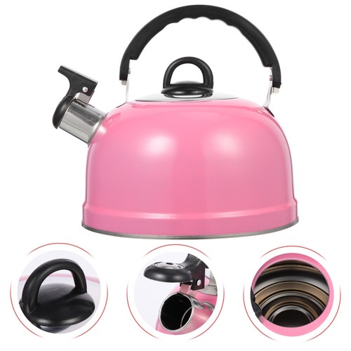 Stainless steel kettle boiling - stainless,