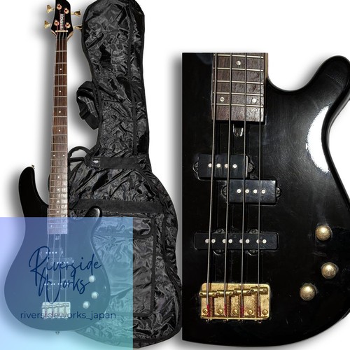 Fernandes bass guitar case - fernandes,