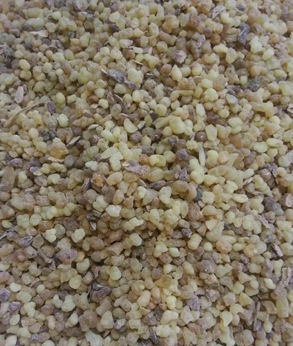 Frankincense small pea size - frankincense,