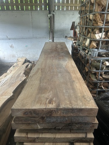 Live edge huge beech boards - huge,