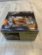 Vintage Camelia 26 Piece Punch