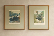 2 Antique 1870s Cassell’s