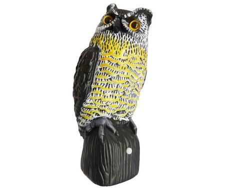 Solar owl garden - x,