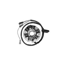 Ducati Energy Sherco Enduro 50