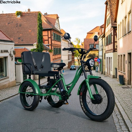 Inch fwd electric tricycle - 20,