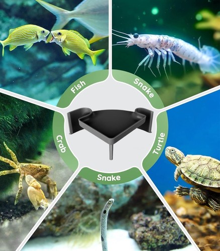 Underground aquarium cave with - aquarium,