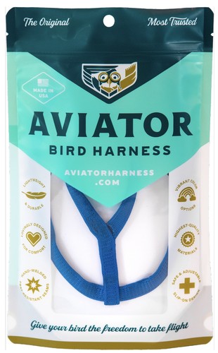 The aviator parrot - aviator,