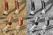 MARK TODD DELUXE LEATHER &