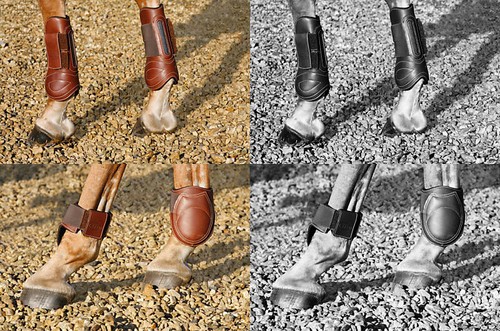 Mark todd deluxe leather - deluxe,