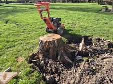 Stump Grinding With Operator