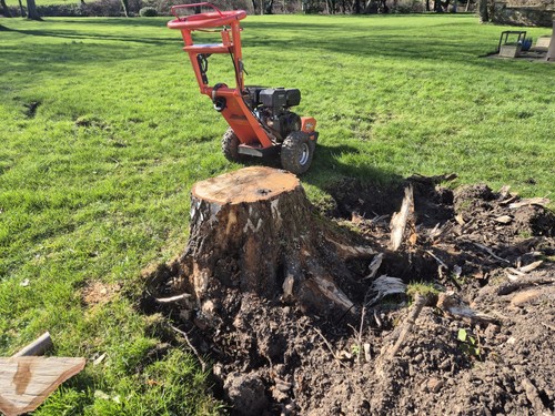 Fast reliable tree - reliable, stump