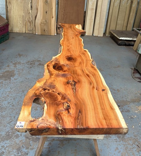 Yew waney edge 40mm - yew,
