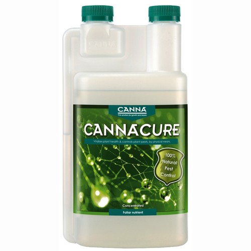 Canna cure spider mite - canna,