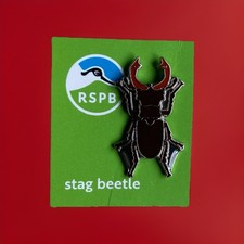 RSPB- Pin Badge  STAG BEETLE