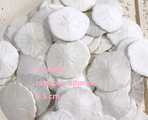 Natural japanese sea urchin - natural,
