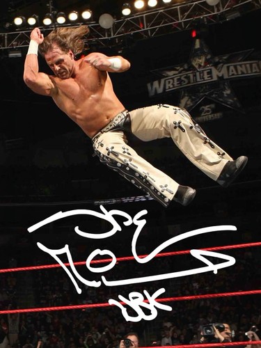 Shawn michaels signed 6x4 inch - shawn,