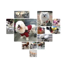 2 Wheels S/M/L Light Aluminum Pet Dog Wheelchair For Handicapped Dog/Cat To walk