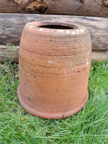 Vintage rhubarb kale forcer - vintage, /