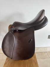 John Whitaker 16.5 Pony GP