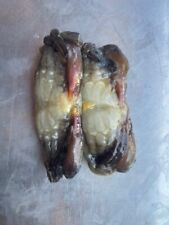 Peeler Crab (Asian) soft backs 3 per packet