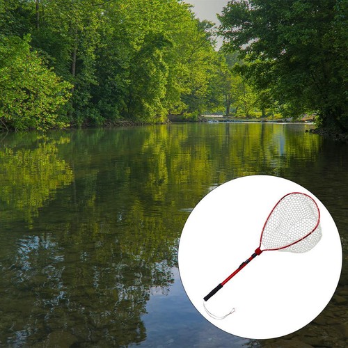 Landing net telescopic folding - landing,