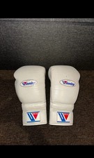 [Excellent Condition] Winning